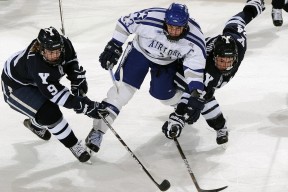 九游官网-田径全能锦标赛：纪录接连刷新，田径全能包括什么